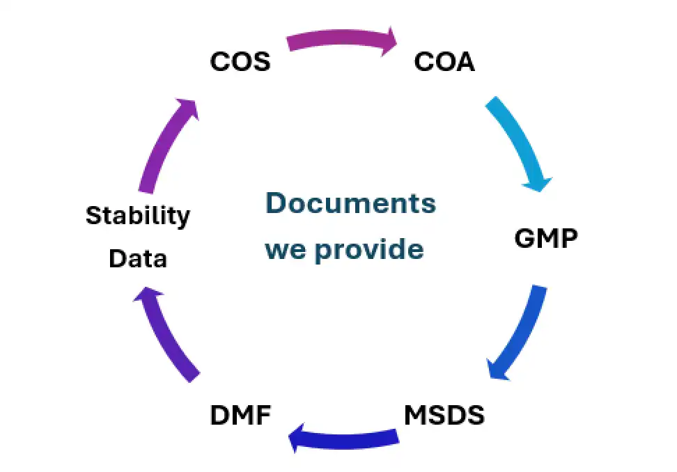 Documents We Provide