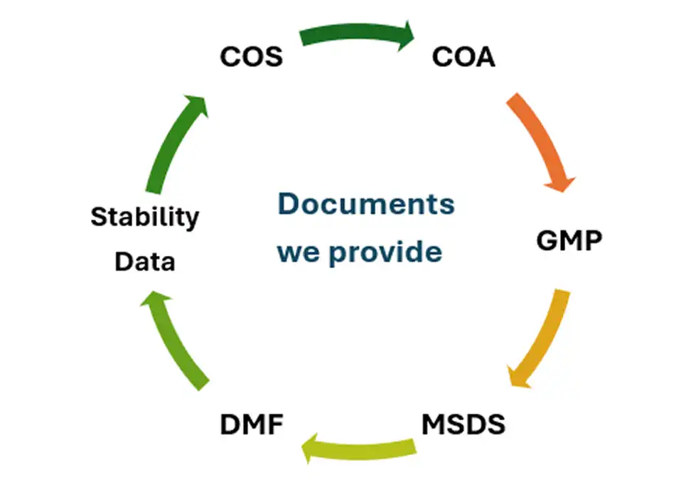 Documents We Provide