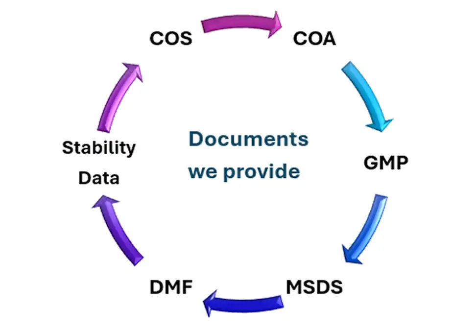 Documents We Provide