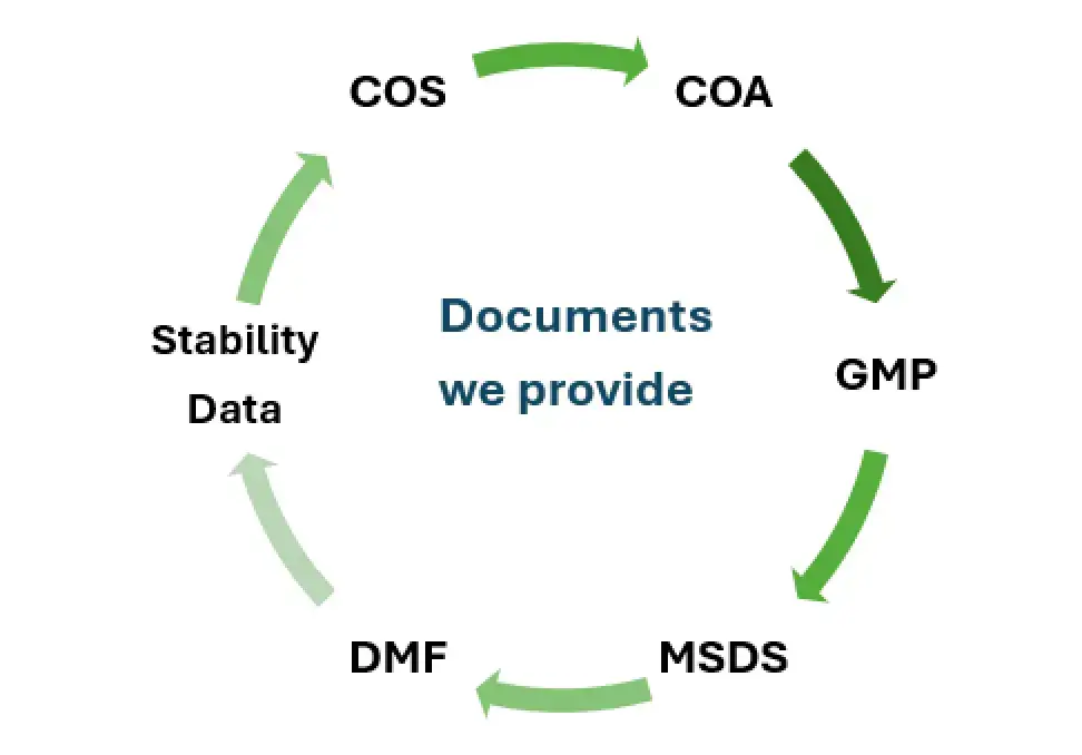 Documents We Provide