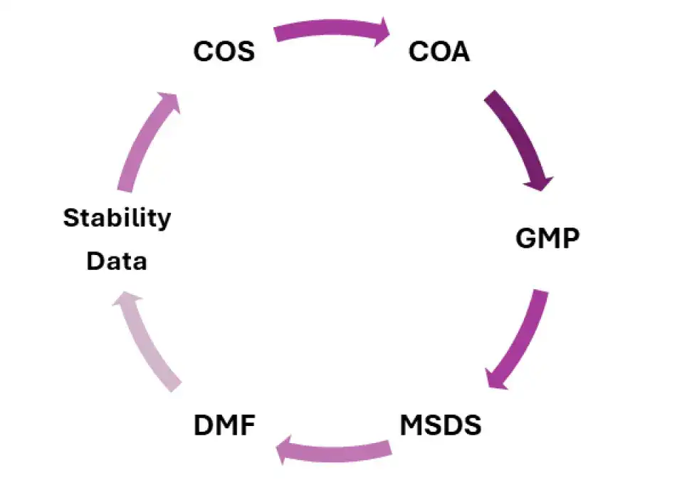Documents We Provide